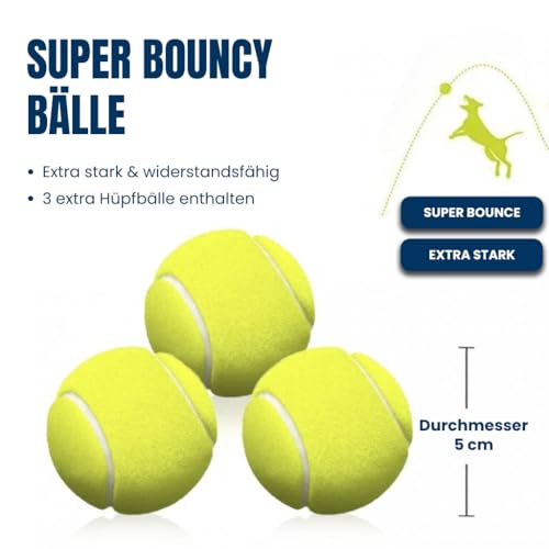 BOT Automatischer Ballwerfer für Hunde, inkl. 3Stk Hundebälle. Interaktives Hundespielzeug für Zuhause und Draußen (Ifetch Maxi 6.4cm)