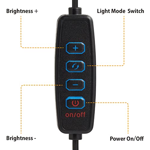 Usb Led Desk Lamp With Phone Holder Flexible Gooseneck 3 Color Modes 10 Brightness Dimmable For Reading Nightlight Work #TOP7