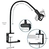zealsound Microphone Arm Stand, 13 inch Flexible Gooseneck Desktop Mic Stand Holder with 3/8" to 5/8" Screw Adapter, Heavy Duty Desk Clamp, 360 Adjustable Compact Mic Arm for Blue Snowball Ice Spark #5