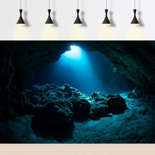Image of Cave Reptile Habitat Background Rock Cave with Sunbeams Terrarium Backdrop Abstract Cave Style Theme Aquarium Background Wallpaper Cave Fish Tank Background Poster Decorations Vinyl 30x12in