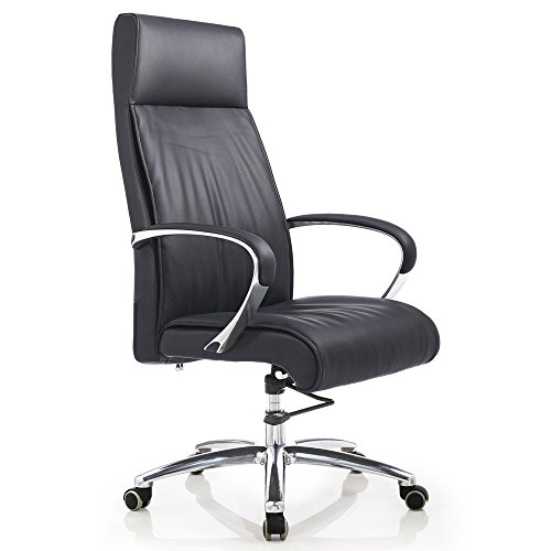 Zuri Furniture Modern Forbes Genuine Leather Aluminum Base High Back Executive Chair - Black Zuri Furniture Modern Forbes Genuine Leather Aluminum Base High Back Executive Chair - Black
