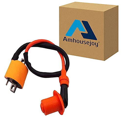 Amhousejoy Ignition Coil & Spark Plug Wire for 1984 Fit for