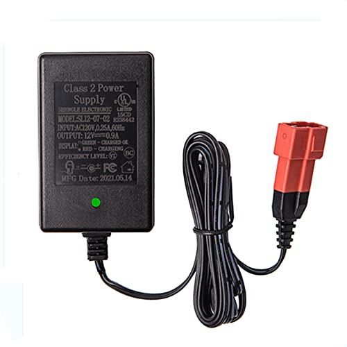 Cargador 12V para coches eléctricos de niños con carga eficiente y enchufe cuadrado