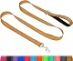 Taglory Hundeleine mit gepolsterter Handschlaufe