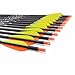 YLS Carbon Archery Arrows Practice Arrows Detachable Arrowhead and Nock 3 inch Streamlined TPU Feathers Perfect for Youth BeginnerTarget Practice and Outdoor Shooting
