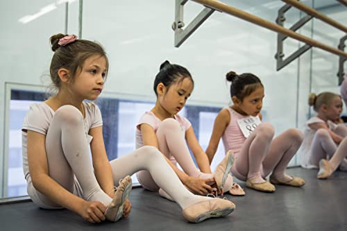 Danshow Girls Short Sleeve Leotard With Skirt Kids Dance Ballet Tutu Dresses(3027-S-08) #TOP5