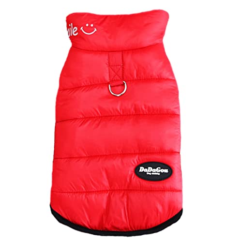 ICOUCHI  xXgWPbg_E H~ hbOEFA ybgEFA p[J[ {At ^ ^ h R[g g Uo   NX}X