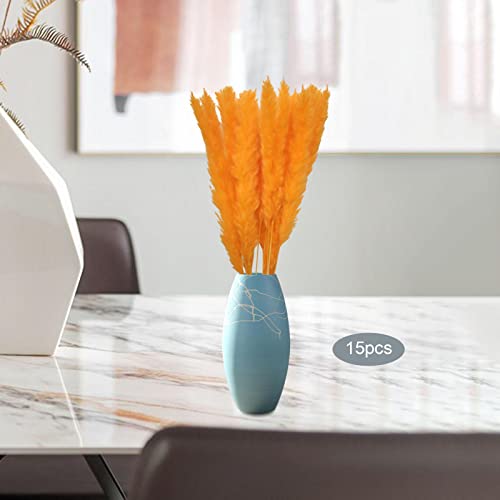 gazechimp 15x Boho Seca Pampas Pampas Flores de Junco 45 cm para Casamentos salón de, laranja