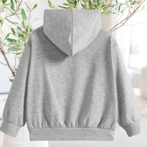 Image of Hoodies Sweatshirts for Boys & Girls