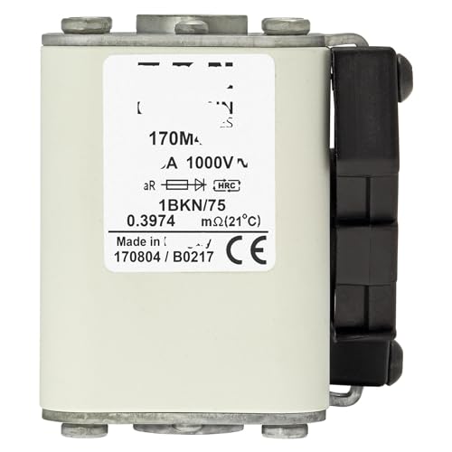 Fusible 170M4921 de type cube avec installation à extrémité plate pour protection industrielle