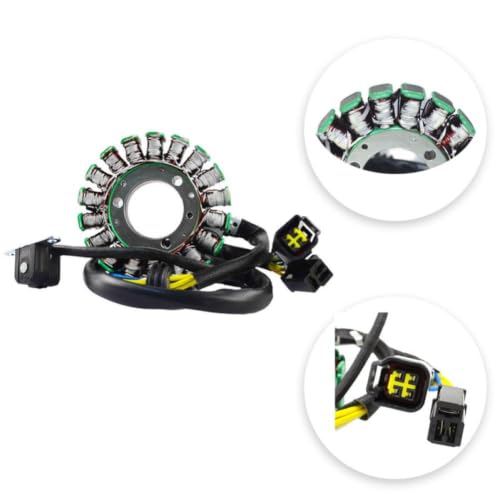 Evita fallos de arranque con la bobina de estator para Suzuki DR250 4