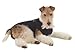 Produktbild MPS Animal Pet Shirt klein Plus Marineblau