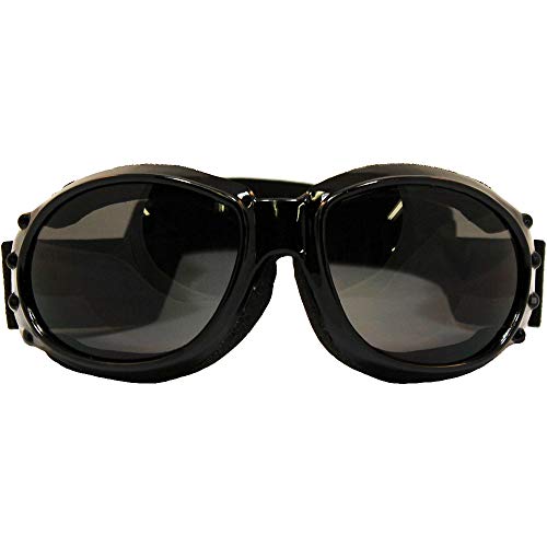 Birdz Eyewear Eagle Interchangeable Kit Motorcycle Biker Goggles Comes With 3 Lenses And A Case #TOP1