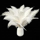 PREMIUM ELEGANCE, BULK RATE: Part of the Lamar Feather, these 14-16 inch ostrich feathers offer the high-end, wispy look of luxury. Perfect for event planners who need professional results on a budget. ULTIMATE GATSBY VIBE: Transform any room into a ...