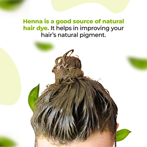 VCare Henna Natural Powder for Hair - 100 gm | Conditioning & Anti-Dandruff | Control Hair Fall, Henna Hair Colouring for Women and Men (Pack Of 5)