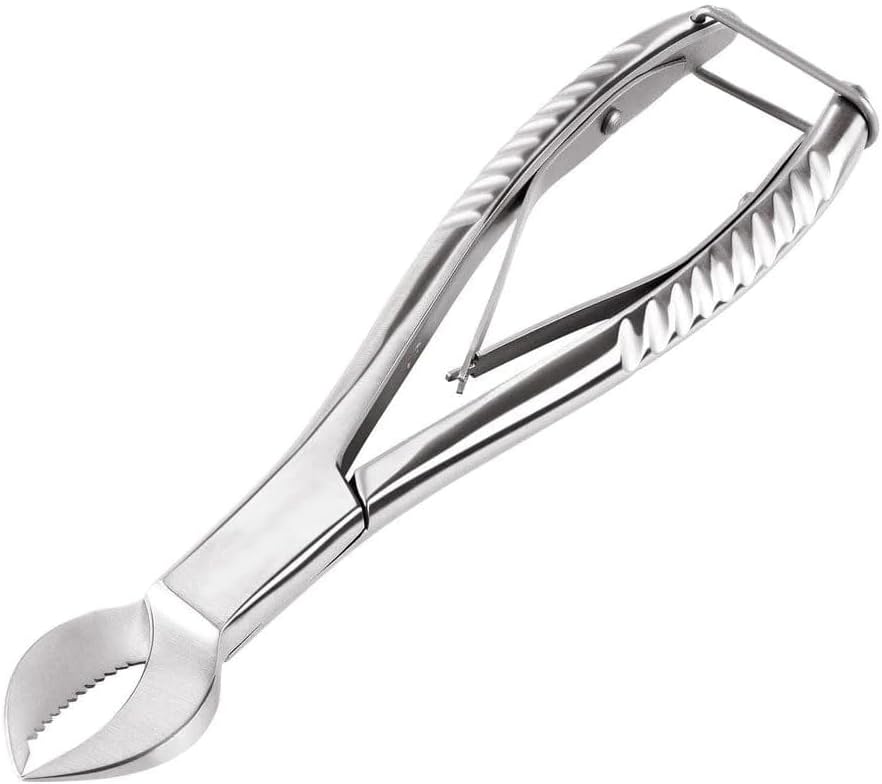 8" Heavy Duty Coral Cutter Circular Jaws Large Curved Blade Stainless Steel with lock MFC-01