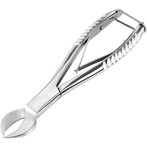 MuskalMed 8" Heavy Duty Coral Cutter Circular Jaws Large Curved Blade Stainless Steel with lock MFC-01 Cover
