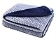 furrybaby Premium Flauschige Fleece-Hundedecke, weicher und Warmer Haustierwurf für Hunde und Katzen (Blau, Größe S (60 x 80 cm)