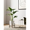 LE TAUCI Ceramic Pots for Plants, 10/8/6 Inch Indoor Planters with Draiange Hole, Silicone Plug & Mesh Pad, Modern Minimalist Pots for Home Office, Set of 3, Satin, White