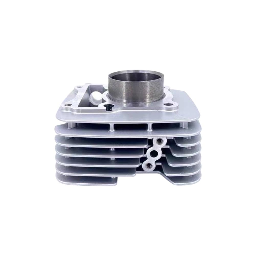 Kit pistone cilindro motore moto compatibile con Haojue EN125 EN125-A EN125-2F EN125-2A 125cc EN 125cc EN125-2E