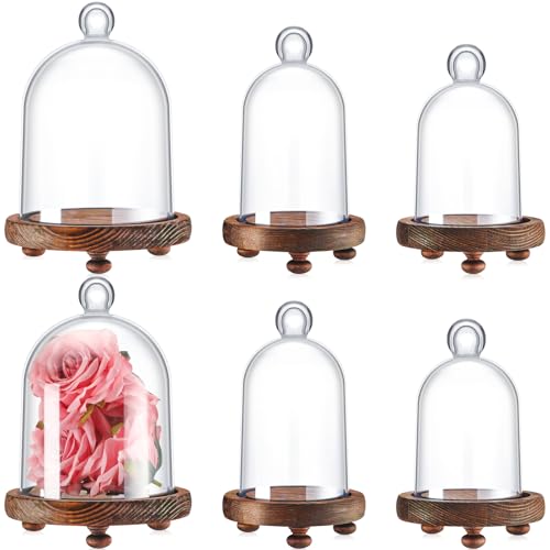 Teenyyou 6 Pcs Plastic Dome Cloche Display Various Decor and Accessories with Wood Base Cloche Bell Dome 4.3x5.2/3.2x4.7/3x4 for Collectibles Rose Home Tabletop Candle Christmas Gift(Small)