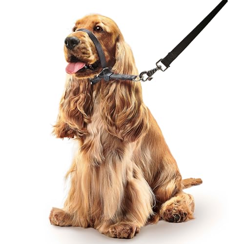 BEAPHAR - Gentle Leader® - Hundehalfter Für Mittelgroße Rassen - Aus Nylon - Trainingshilfe Zur Kontrolle Und Führung - Von Tiertrainern Empfohlen - Größe M - Schwarz