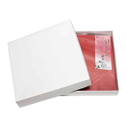 大色紙ファイル　自然のささやき　朝日　海　3冊 Amazon | 自然のささやき 大色紙ファイル 朝日 | O型リングファイル