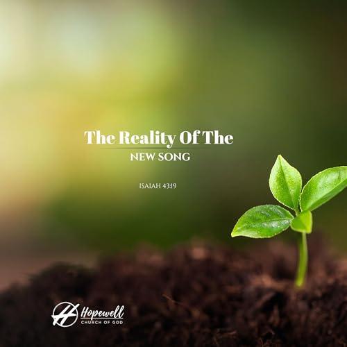The Reality Of The New Song