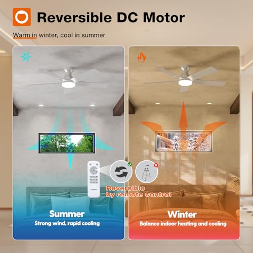 Image of addlon Ceiling Fans with Lights, 52 Inch Low Profile Ceiling Fan with Light and Remote Control, Flush Mount, Reversible, 3CCT, Dimmable, Quiet, Silver Ceiling Fan for Bedroom Indoor /Outdoor Use