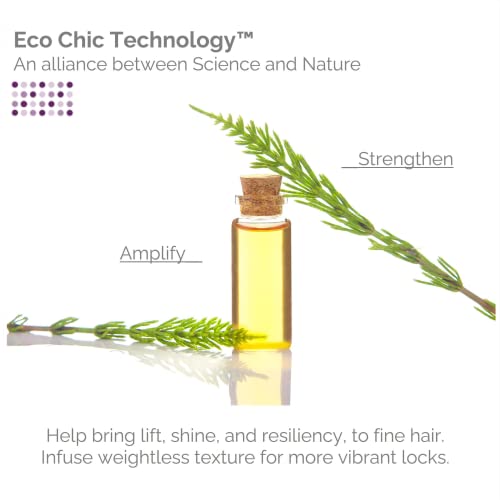 Giovanni Root 66 Max Volume Conditioner - Eco Chic Hair Care Technology, 8.5 Ounce (Pack Of 3) #TOP1