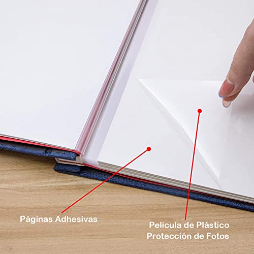 El Mejor Listado de Albumes para comprar online. 17 Albumes marca OIOSEN (2)