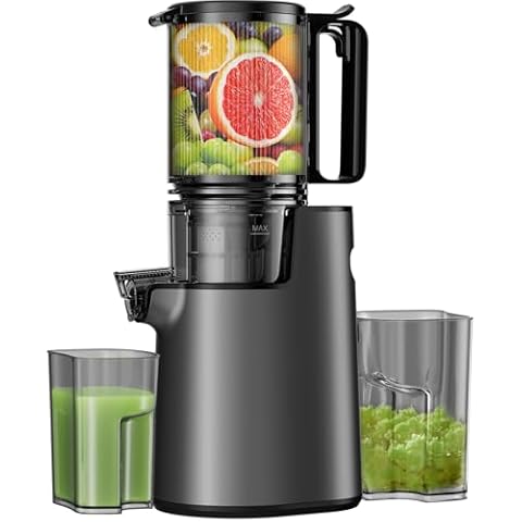 Cold Press Masticating Juicer LQZ Cover