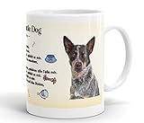 Merchandise for Fans