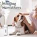 humidificador Silenciosos Para Dormitorio Imagen de humidificador Silenciosos Para Dormitorio