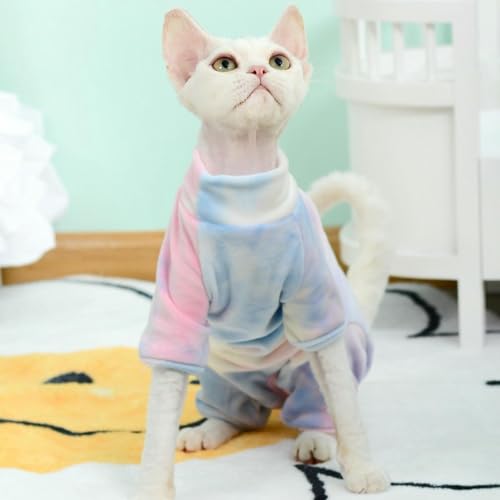 Body pour chaton sans poils contre le froid et les frissons