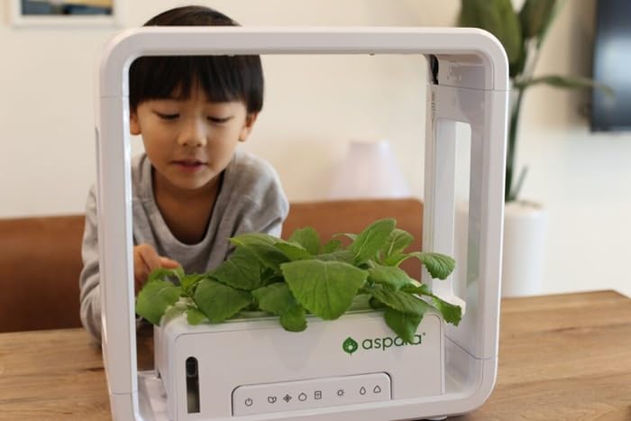 Amazon｜アスパラガーデンLITE スターターキット 水耕栽培キット