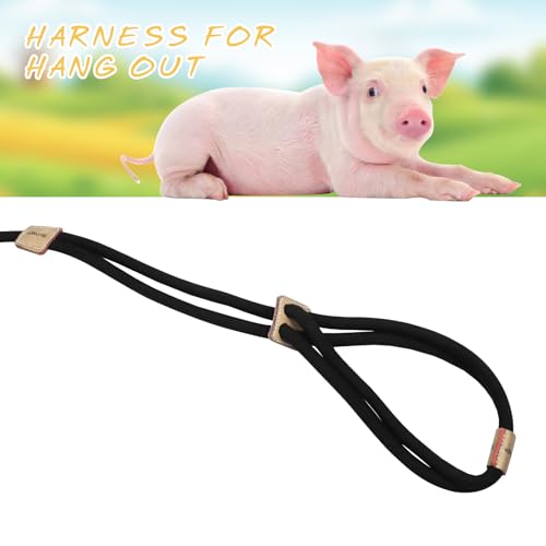 Image of Pig Harness, Adjustable 8 Feet Leash for Small to Medium Pet Pigs