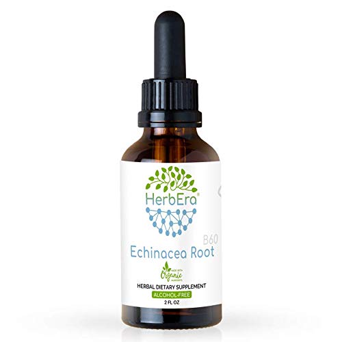 Echinacea Root B60 Alcohol-Free Herbal Extract Tincture, Super-Concentrated Responsibly farmed Organic Echinacea (Echinacea Purpurea) Dried Root 2 fl oz