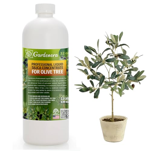 𝐏𝐑𝐎𝐅𝐄𝐒𝐒𝐈𝐎𝐍𝐀𝐋 Liquid Silica Plant Supplement - 32oz - OLIVE TREE Plants Liquid Silica Boost Fertilizer - Stronger Stems & Healthy Leaves for Indoor & Outdoor Olive Trees (Makes 180 Gallons)