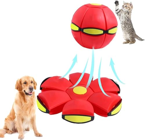 Brinquedo Pet Bola Magica Disco Voador Com Led Colorida Pula