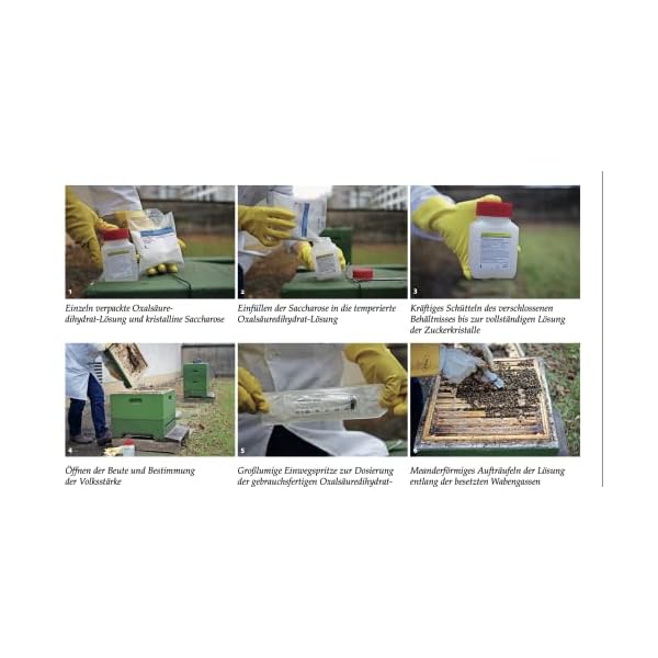 Bienenwagner Serumwerk 1x 500Ml OxalsÃ¤uredihydrat - LÃ¶sung 3,5% ad us vet OxalsÃ¤ure 3,5% zur Winterbehandlung TrÃ¤ufelbehandlung bei den Bienen gegen Varroa kein Oxuvar Varromed Bienenwohl – Bild 3