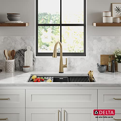 Delta Faucet Delta Everest 32-Inch Granite Composite Workstation Kitchen Sink Undermount Single Bowl With Workflow Ledge And Accessories In Dark Grey, 75B933-33S-Dg #TOP7