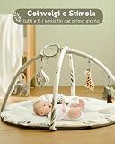 Fortella B0DMR1LB4F lato 2