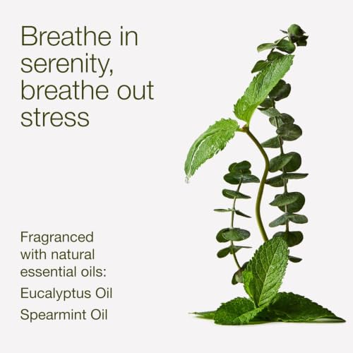 Bath & Body Works Body Lotion, Eucalyptus Spearmint, 8.4 fl oz, 2 Pack | Aromatherapy Lightweight Moisturizer, Shea Butter & Coconut Oil, 48-Hour Hydration, Luxurious Scent, Dermatologist-Approved - image 3