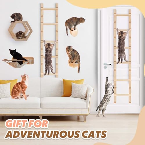 Briwooody 4 peças de escadas para gatos, escadas de escalada para gatos, degraus de escalada, pratel