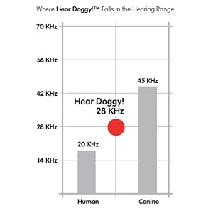 Flattie brown beaver ultrasonic silent squeaker dog toy 58519 large   cucciolini doodles