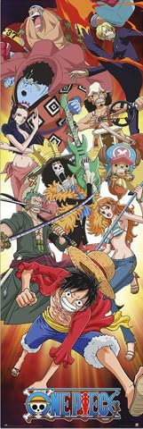 empireposter TP 805 One Piece - Fight