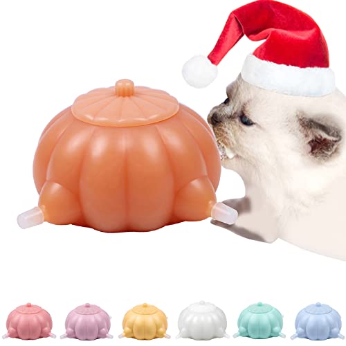 LONNAIKJ Puppy Feeder 4 Nipples Dog Nipple Nursing Milk Bowl Silicone Doggie Bubble 300ml