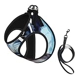 Jack Russell Terrier No Pull Dog Harness and Leash Set, Cute Reflective Adjustable Vest for Small Dogs,Breathable Mesh Puppy Harness for Walking Hiking,Medium
