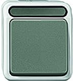 Farbe: lichtgrau Merten MEG3156-8029 1polig Taster mit N-Klemme, Wechsel 1-polig, lichtgrau, AQUASTAR